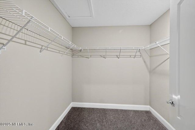 178 ANTOLIN Way, St. Augustine, FL 32095