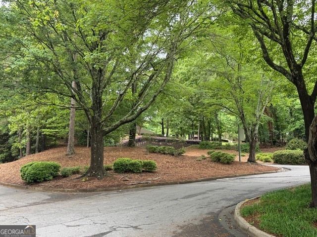 1119 Sandy Lane Drive, Johns Creek, GA 30022