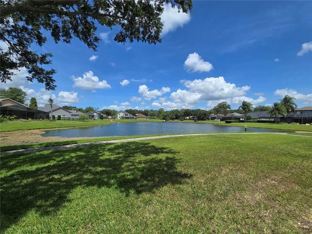 15305 PALOMA PARK LANE, Lithia, FL 33547