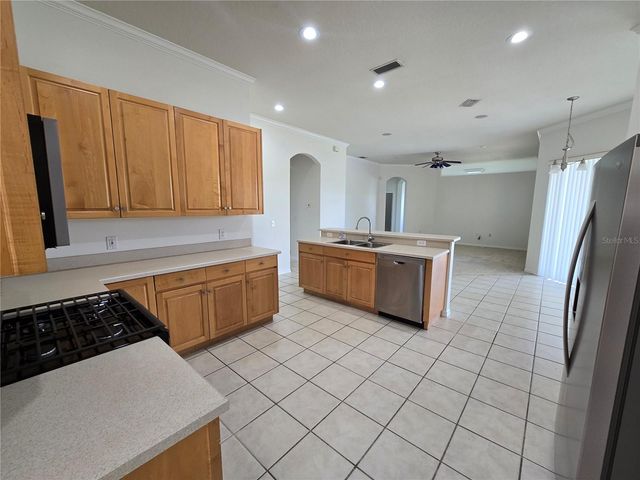 15305 PALOMA PARK LANE, Lithia, FL 33547