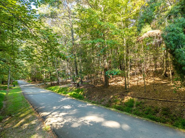 153 Blackberry Falls Drive, Ellijay, GA 30540