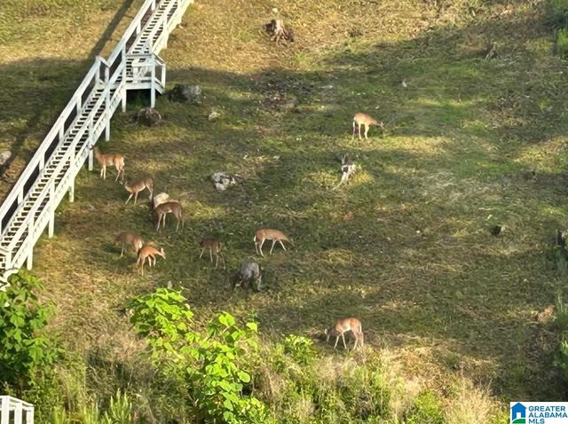 395 LAKELAND HILLS DRIVE, Talladega, AL 35160