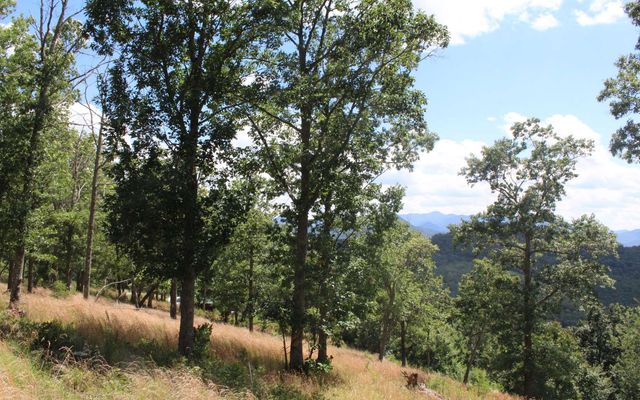131 Shiloh Ridge, Hayesville, NC 28904