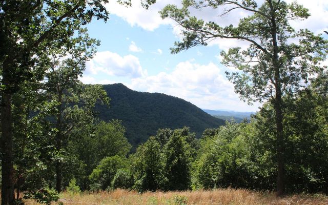 131 Shiloh Ridge, Hayesville, NC 28904