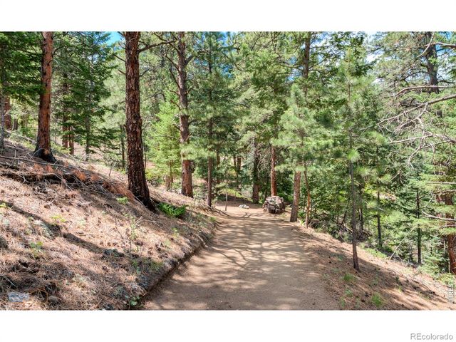3819 James Canyon Drive, Jamestown, CO 80455