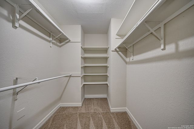 7543 Beaver Tree, San Antonio, TX 78249