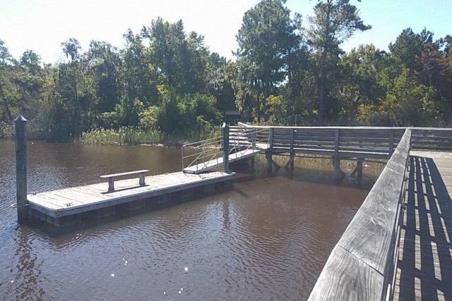 TBD Warham Dr., Georgetown, SC 29440