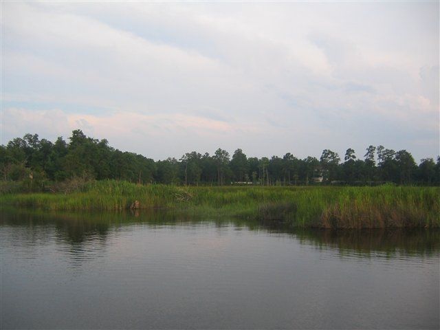 TBD Warham Dr., Georgetown, SC 29440