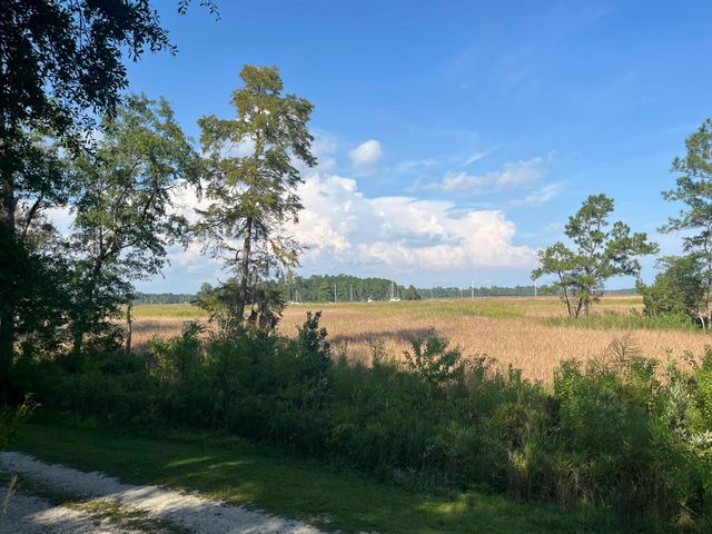 TBD Warham Dr., Georgetown, SC 29440