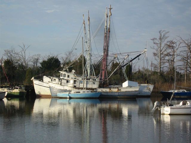 TBD Warham Dr., Georgetown, SC 29440