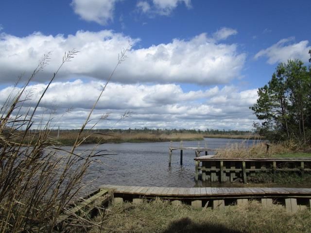 TBD Warham Dr., Georgetown, SC 29440