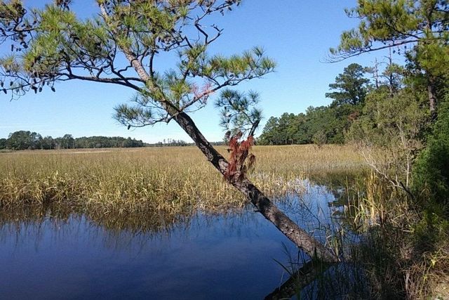 TBD Warham Dr., Georgetown, SC 29440