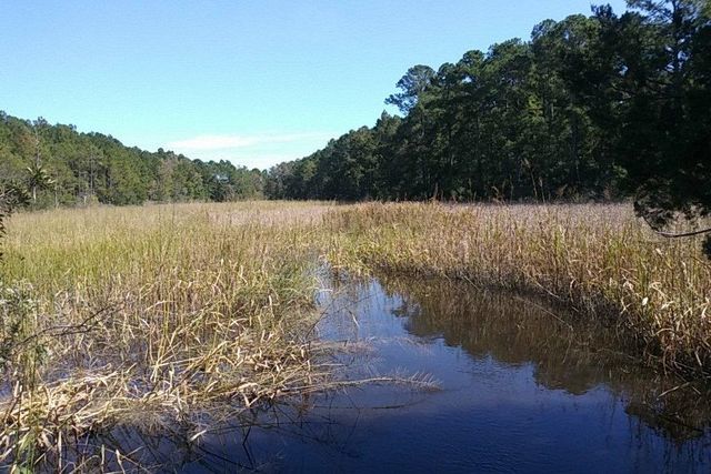 TBD Warham Dr., Georgetown, SC 29440