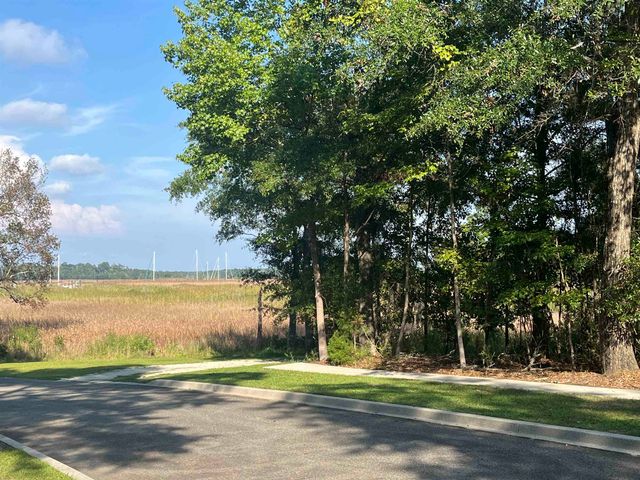 TBD Warham Dr., Georgetown, SC 29440