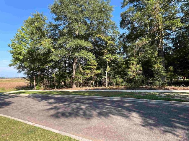 TBD Warham Dr., Georgetown, SC 29440