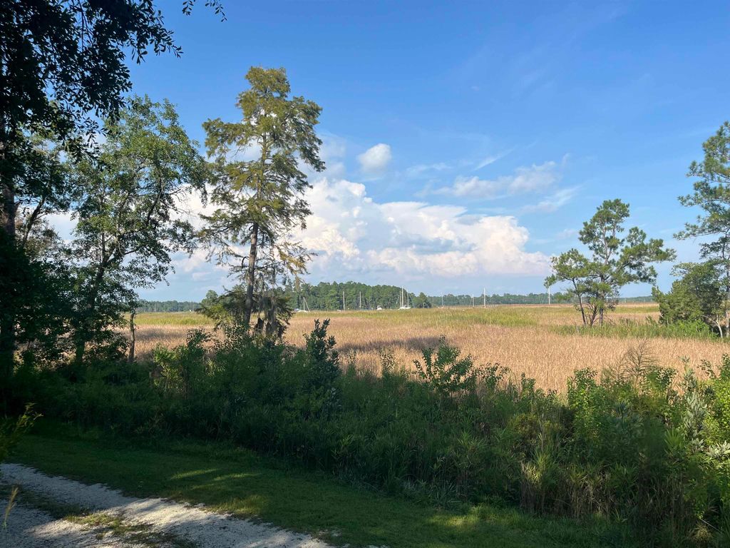 TBD Warham Dr., Georgetown, SC 29440 — photo 2