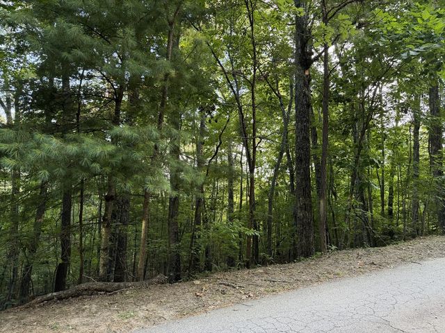 Lot 46 Fox Run Drive, Blue Ridge, GA 30513
