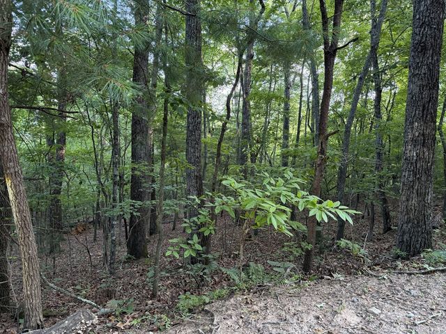 Lot 46 Fox Run Drive, Blue Ridge, GA 30513