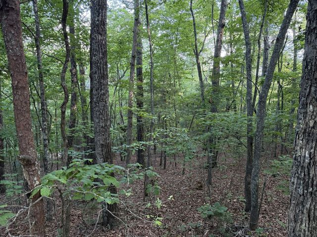 Lot 46 Fox Run Drive, Blue Ridge, GA 30513