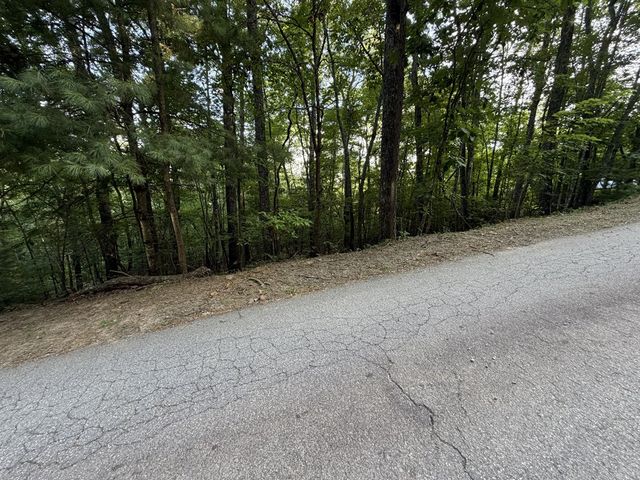 Lot 46 Fox Run Drive, Blue Ridge, GA 30513