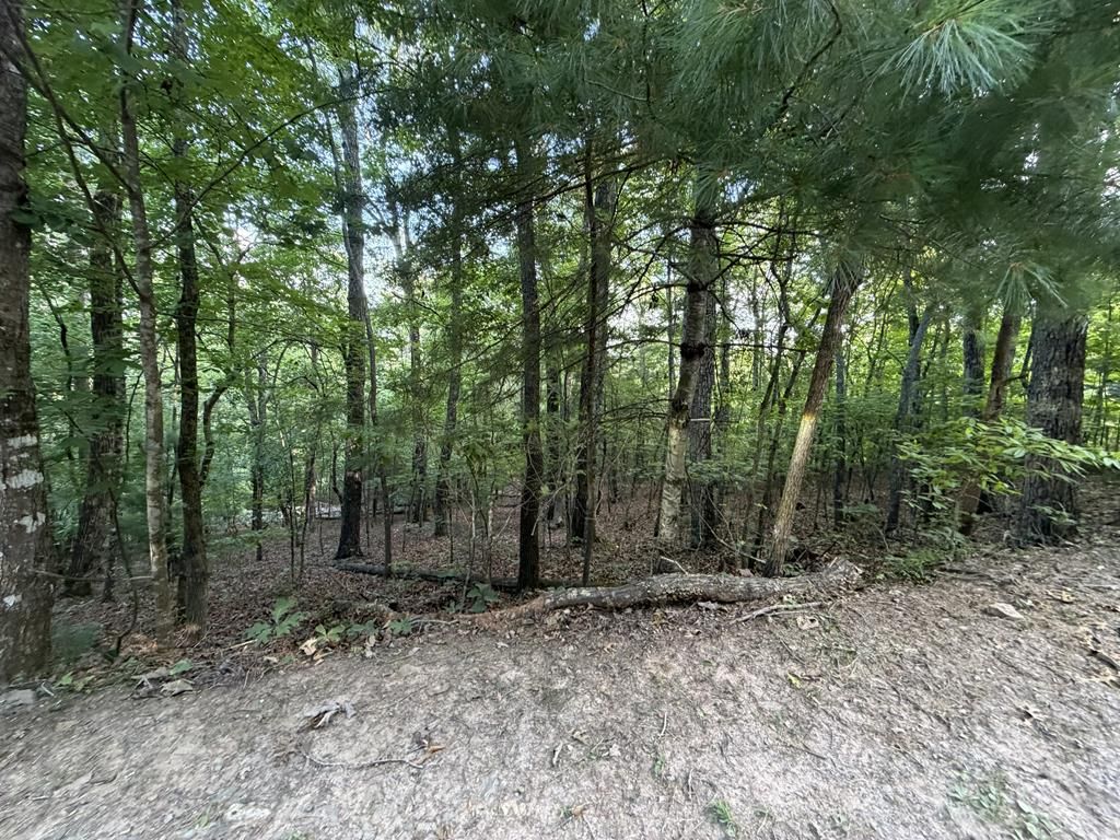 Lot 46 Fox Run Drive, Blue Ridge, GA 30513