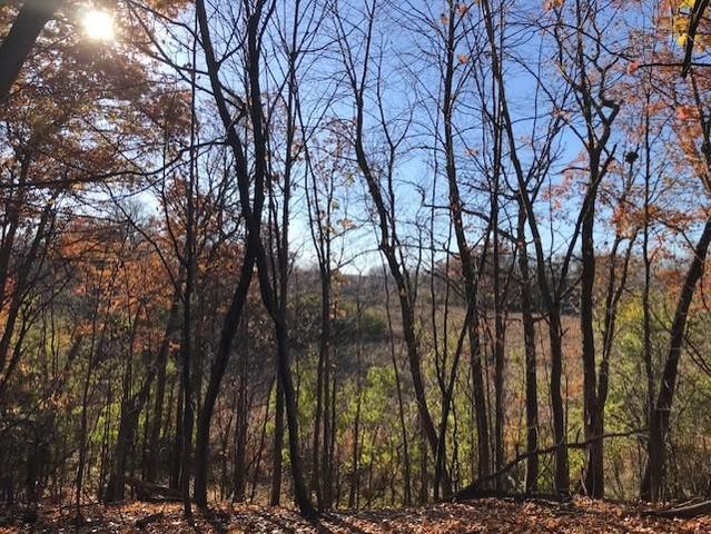 51XX Waterbury Road, Mound, MN 55364