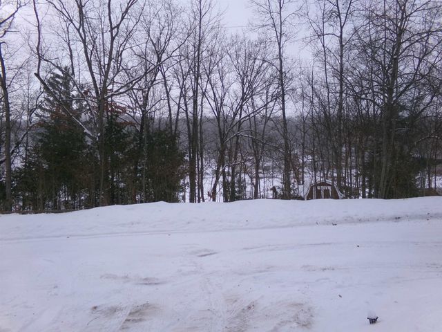 992 Lake Street, Lincoln Twp, MI 48625