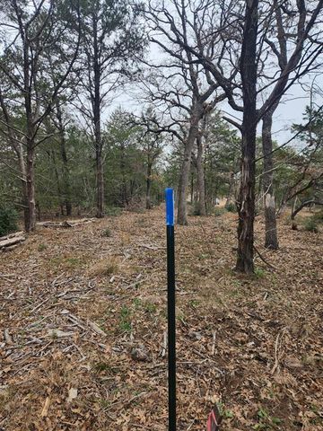 00 Milam LN, Bastrop, TX 78602