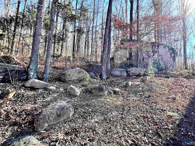 10404 Alabama Highway 79, Scottsboro, AL 35768