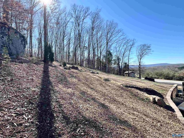 10404 Alabama Highway 79, Scottsboro, AL 35768