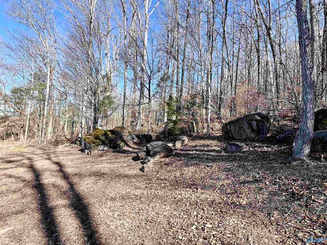 10404 Alabama Highway 79, Scottsboro, AL 35768