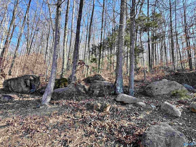 10404 Alabama Highway 79, Scottsboro, AL 35768