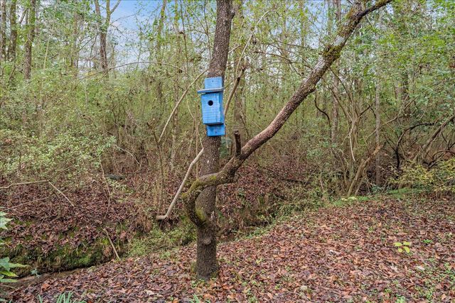 127 SW M.L.K. Jr Drive, Crawfordville, GA 30631