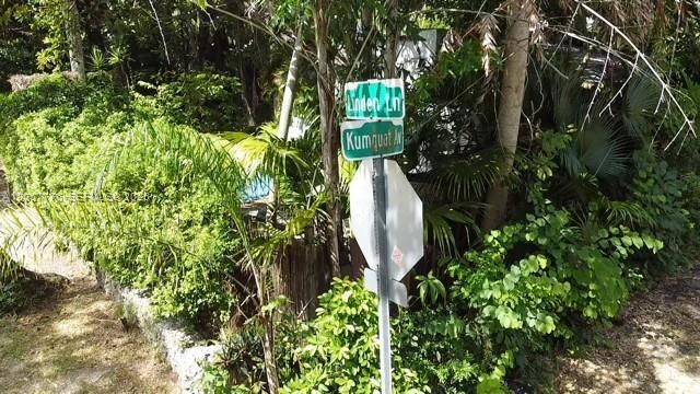 3564 Linden Ln, Miami, FL 33133