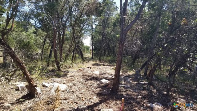 422 Ash Juniper Drive, New Braunfels, TX 78132