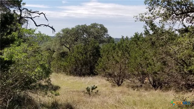 422 Ash Juniper Drive, New Braunfels, TX 78132