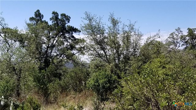 422 Ash Juniper Drive, New Braunfels, TX 78132