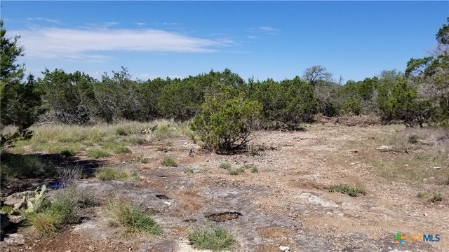 422 Ash Juniper Drive, New Braunfels, TX 78132