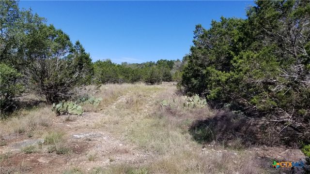 422 Ash Juniper Drive, New Braunfels, TX 78132