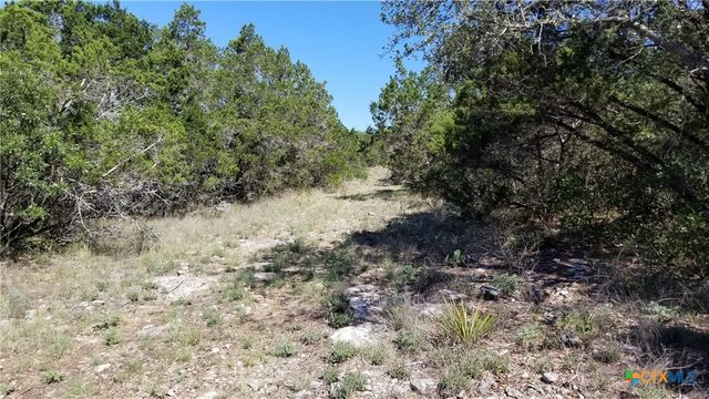 422 Ash Juniper Drive, New Braunfels, TX 78132