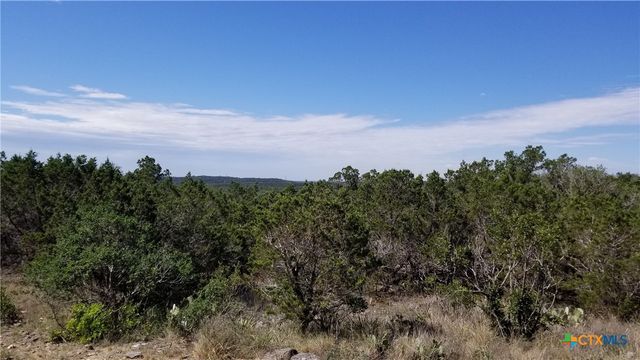 422 Ash Juniper Drive, New Braunfels, TX 78132