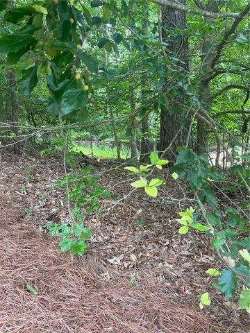 1894 Point River Drive, Duluth, GA 30097