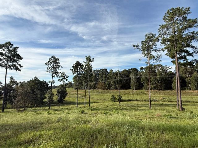 TBD Anna Grace, Livingston, TX 77351