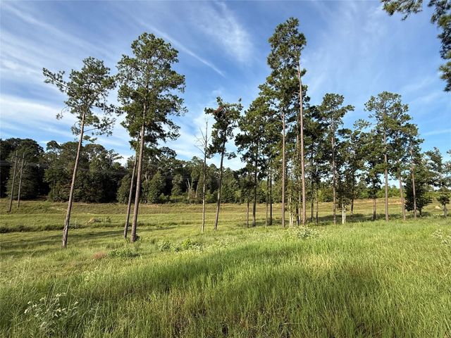 TBD Anna Grace, Livingston, TX 77351
