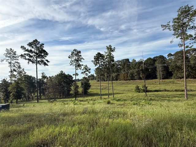 TBD Anna Grace, Livingston, TX 77351