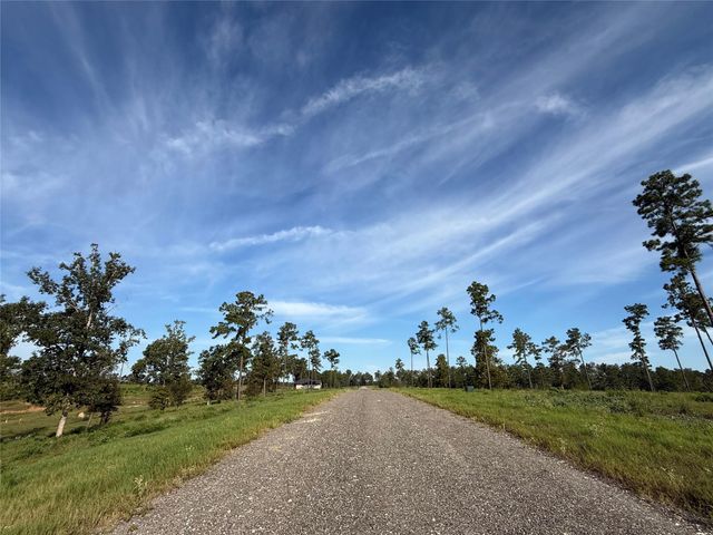 TBD Anna Grace, Livingston, TX 77351
