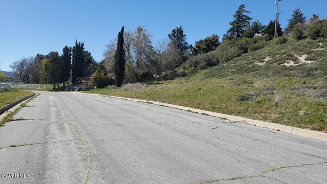3225-037-003, Lake Elizabeth, CA 93532