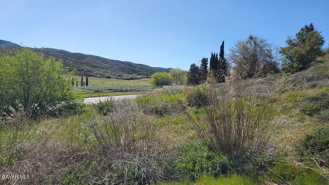 3225-037-003, Lake Elizabeth, CA 93532