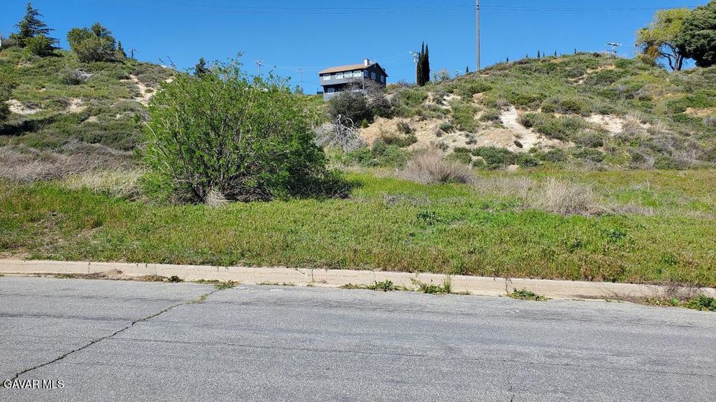 3225-037-003, Lake Elizabeth, CA 93532
