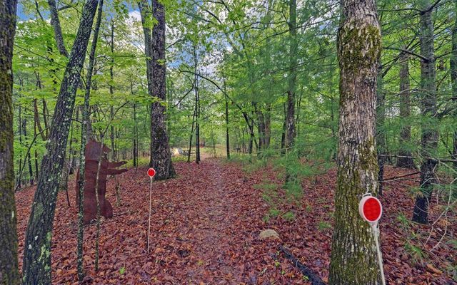 100 Carvers View Trail, Murphy, NC 28906